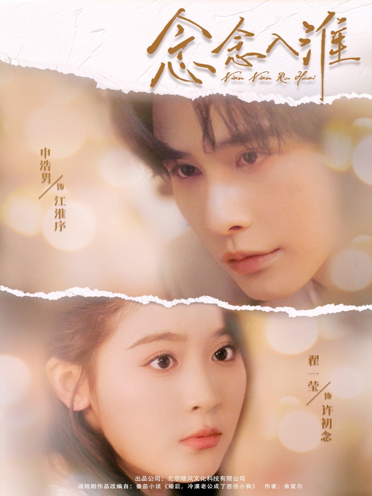 念念入淮