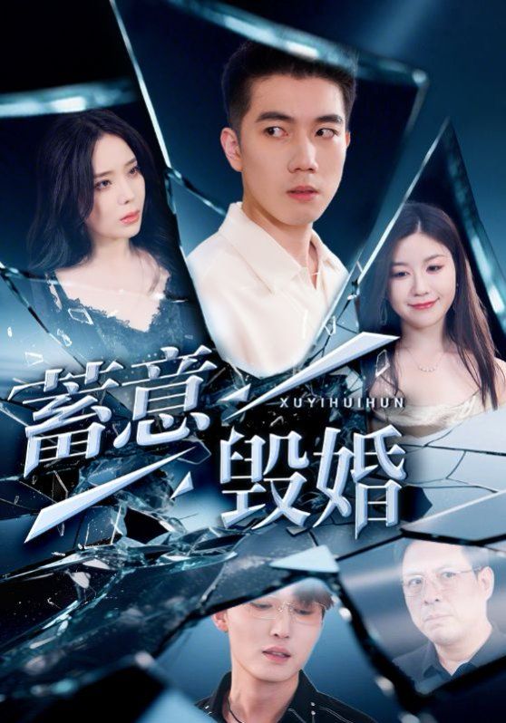 蓄意毁婚