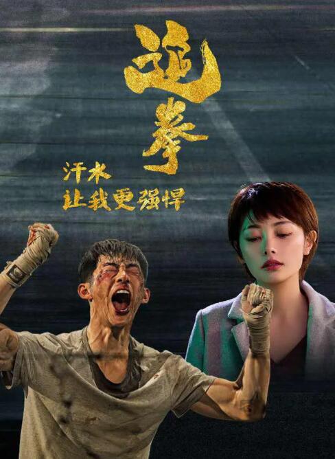 追拳封面图